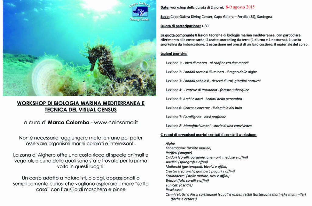 Corso di biologia marina mediterranea in Sardegna